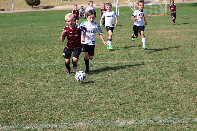 和防守屏障 和防守屏障