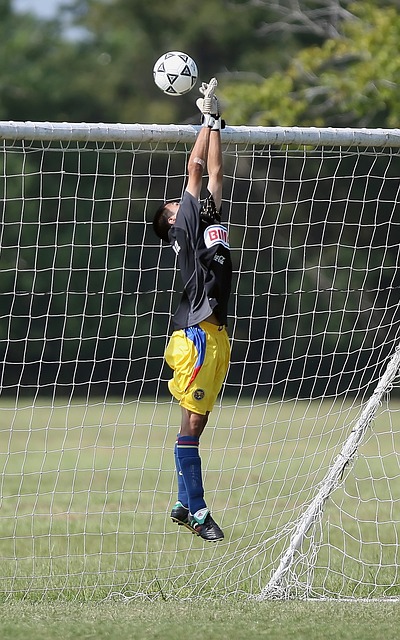 通过严格的 通过严格的