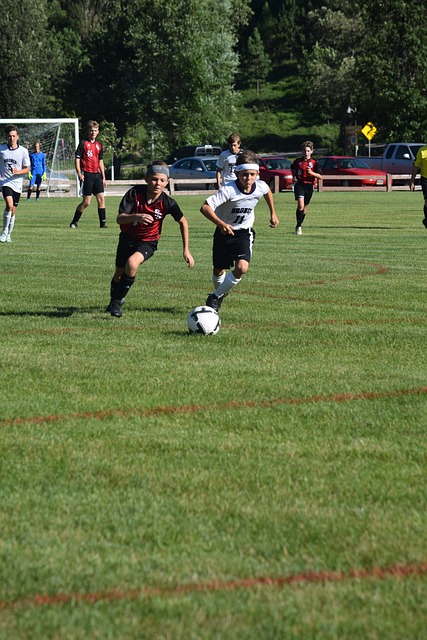 不得不将更 不得不将更