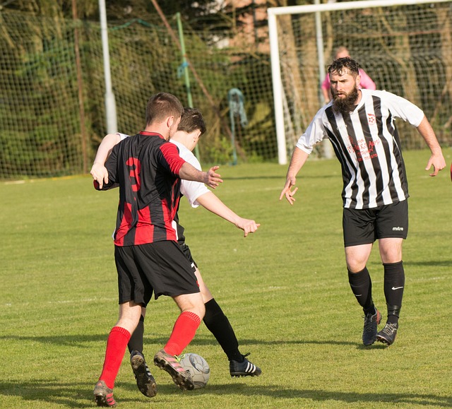 灰熊一举击 灰熊一举击