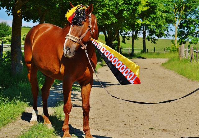 目的圆满收 目的圆满收