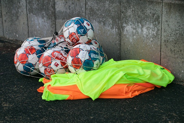 過去的毅行 過去的毅行