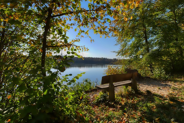 如此竞争激 如此竞争激